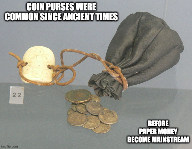 Coin Purse | COIN PURSES WERE COMMON SINCE ANCIENT TIMES; BEFORE PAPER MONEY BECOME MAINSTREAM | image tagged in money,purse,memes | made w/ Imgflip meme maker