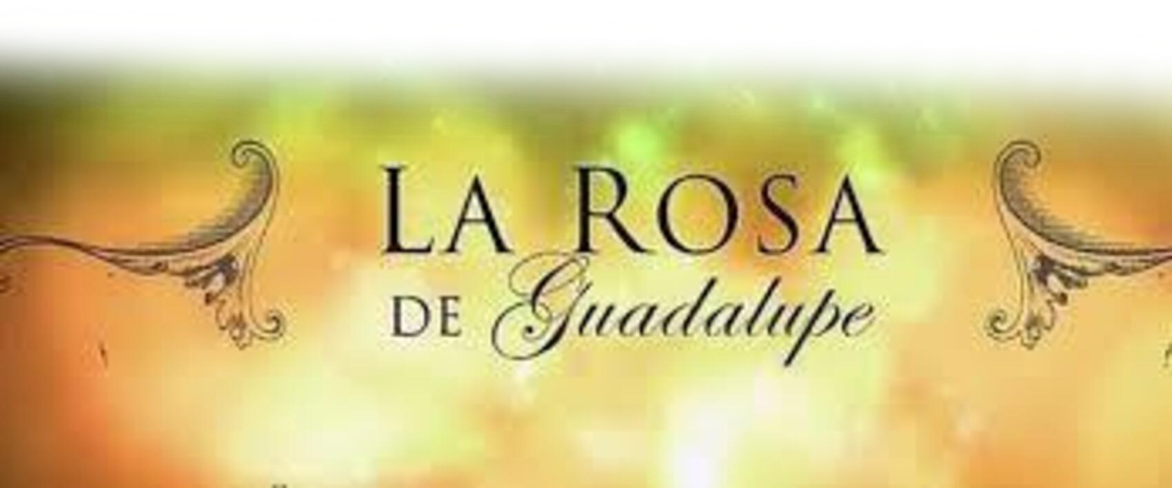 High Quality Logo rosa de guadalupe Blank Meme Template