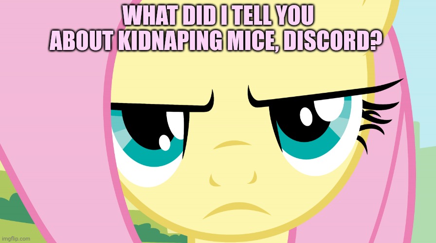 Fluttershy Not Amused (MLP) | WHAT DID I TELL YOU ABOUT KIDNAPING MICE, DISCORD? | image tagged in fluttershy not amused mlp | made w/ Imgflip meme maker