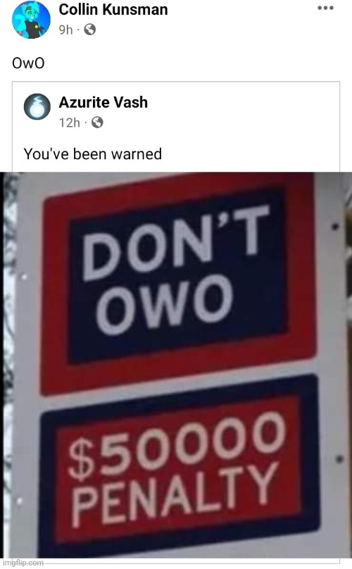 OwO | image tagged in facebook,posts,furry,owo | made w/ Imgflip meme maker