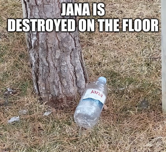 Another Croatia-meme | JANA IS DESTROYED ON THE FLOOR | image tagged in jana on the ground | made w/ Imgflip meme maker