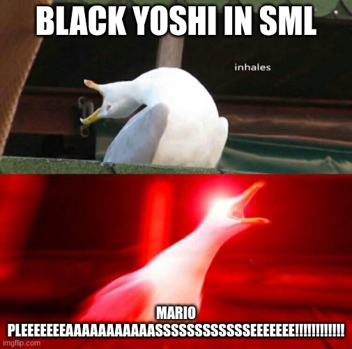 Inhaling Seagull  | BLACK YOSHI IN SML; MARIO PLEEEEEEEAAAAAAAAAAASSSSSSSSSSSSEEEEEEE!!!!!!!!!!!! | image tagged in inhaling seagull | made w/ Imgflip meme maker