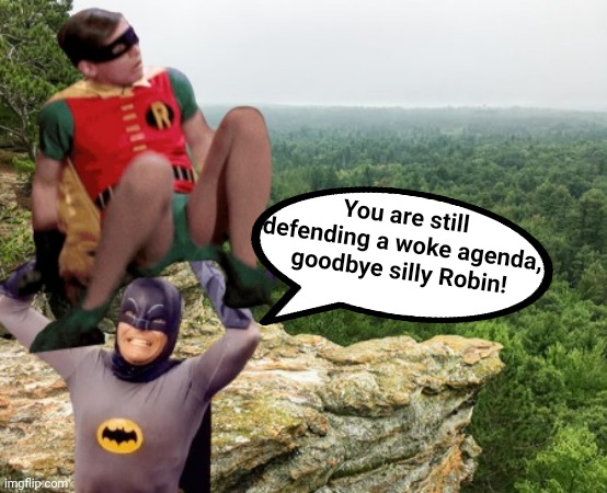 You are still defending a woke agenda, goodbye silly Robin! | made w/ Imgflip meme maker
