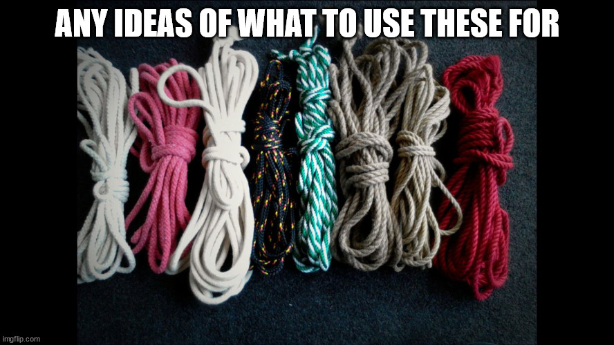 Bondage Ropes | ANY IDEAS OF WHAT TO USE THESE FOR | image tagged in bondage ropes | made w/ Imgflip meme maker