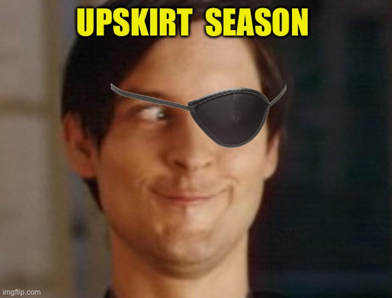 Spiderman Peter Parker Meme | UPSKIRT  SEASON | image tagged in memes,spiderman peter parker | made w/ Imgflip meme maker