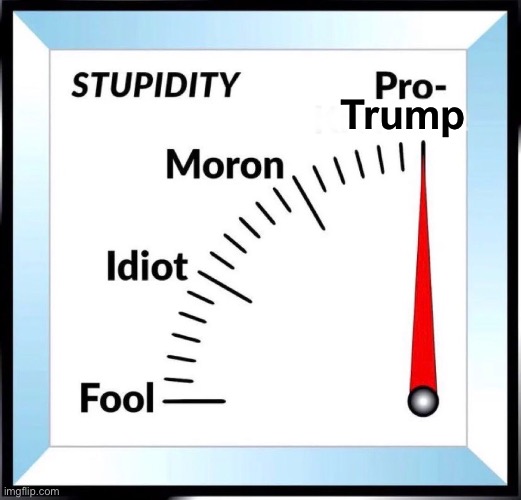 [no caption needed] | Trump | image tagged in trump,moron,idiot,stupid | made w/ Imgflip meme maker