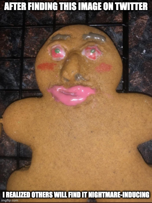 Fugly Gingerbread Man | AFTER FINDING THIS IMAGE ON TWITTER; I REALIZED OTHERS WILL FIND IT NIGHTMARE-INDUCING | image tagged in food,memes,funny | made w/ Imgflip meme maker