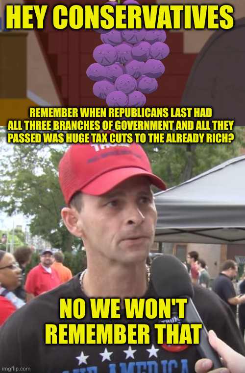 Conservatives vote because they say government doesn't work. They vote for those that make sure it doesn't | HEY CONSERVATIVES; REMEMBER WHEN REPUBLICANS LAST HAD ALL THREE BRANCHES OF GOVERNMENT AND ALL THEY PASSED WAS HUGE TAX CUTS TO THE ALREADY RICH? NO WE WON'T REMEMBER THAT | image tagged in memberries,trump supporter | made w/ Imgflip meme maker