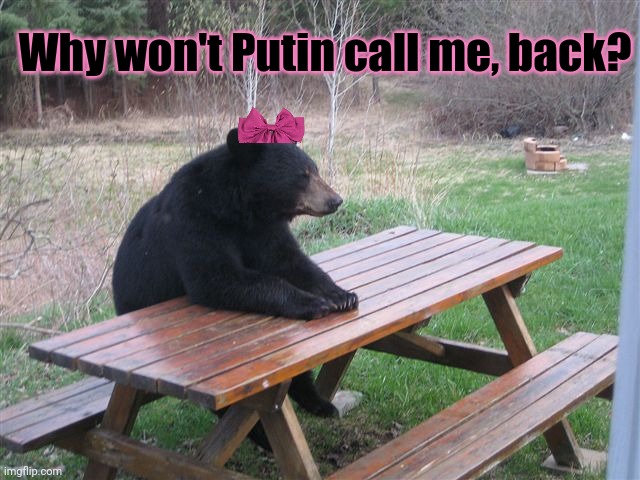 Patient Bear | Why won't Putin call me, back? | image tagged in patient bear | made w/ Imgflip meme maker