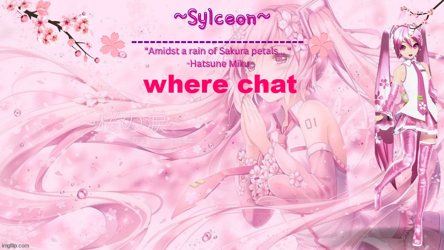 sylc's sakura temp (thx drm) | where chat | image tagged in sylc's sakura temp thx drm | made w/ Imgflip meme maker