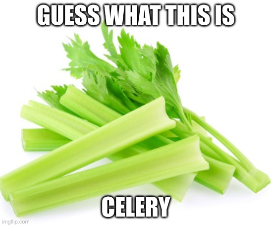 GUESS WHAT THIS IS; CELERY | image tagged in fun | made w/ Imgflip meme maker