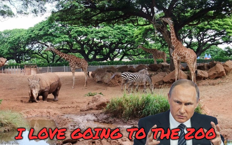 I LOVE GOING TO THE ZOO | made w/ Imgflip meme maker