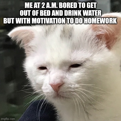 At 2 a.m. I woke up with the motivation to do ancient Greek for some reason | ME AT 2 A.M. BORED TO GET OUT OF BED AND DRINK WATER BUT WITH MOTIVATION TO DO HOMEWORK | image tagged in i'm awake but at what cost,homework,water,awake,sleep,night | made w/ Imgflip meme maker