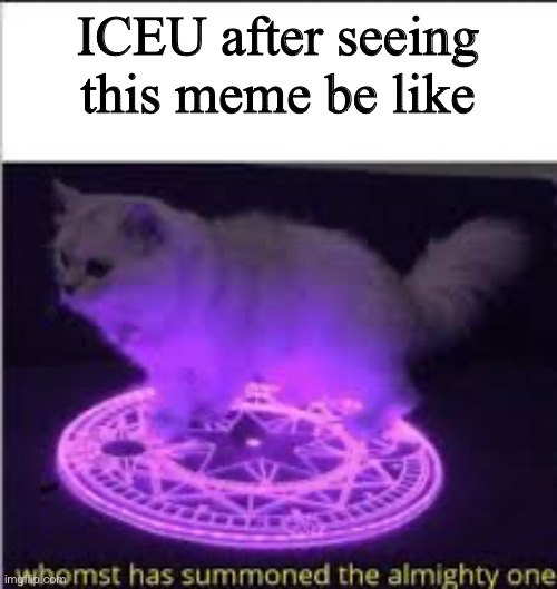 Whomst has Summoned the almighty one | ICEU after seeing this meme be like | image tagged in whomst has summoned the almighty one | made w/ Imgflip meme maker