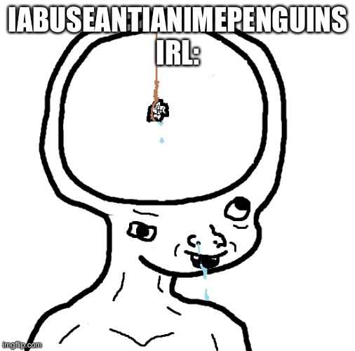 Dumb wojak | IABUSEANTIANIMEPENGUINS IRL: | image tagged in dumb wojak | made w/ Imgflip meme maker