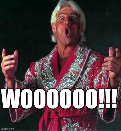 Ric Flair WOOOOOO | WOOOOOO!!! | image tagged in ric flair woooooo | made w/ Imgflip meme maker