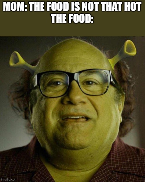 MOM: THE FOOD IS NOT THAT HOT
THE FOOD: | image tagged in memes,gifs,funny,danny devito,shrek,shrek sexy face | made w/ Imgflip meme maker