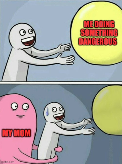 my mom | ME DOING SOMETHING DANGEROUS; MY MOM | image tagged in memes | made w/ Imgflip meme maker