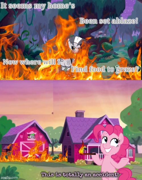 Pinkie pie problems | This is totally an accident! | image tagged in disaster pony,stop it get some help,pinkie pie,zecora | made w/ Imgflip meme maker