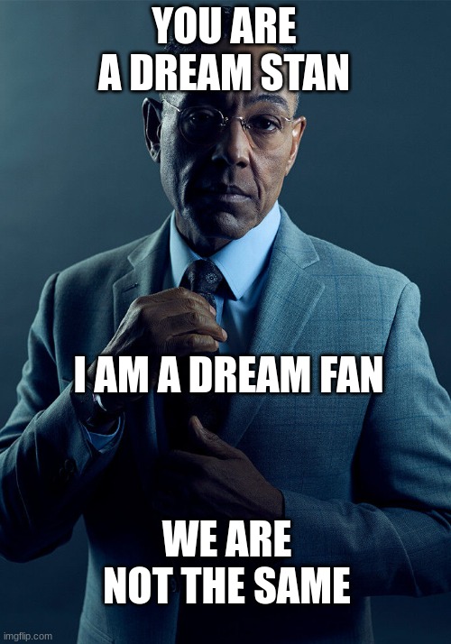 Gus Fring we are not the same | YOU ARE A DREAM STAN I AM A DREAM FAN WE ARE NOT THE SAME | image tagged in gus fring we are not the same | made w/ Imgflip meme maker