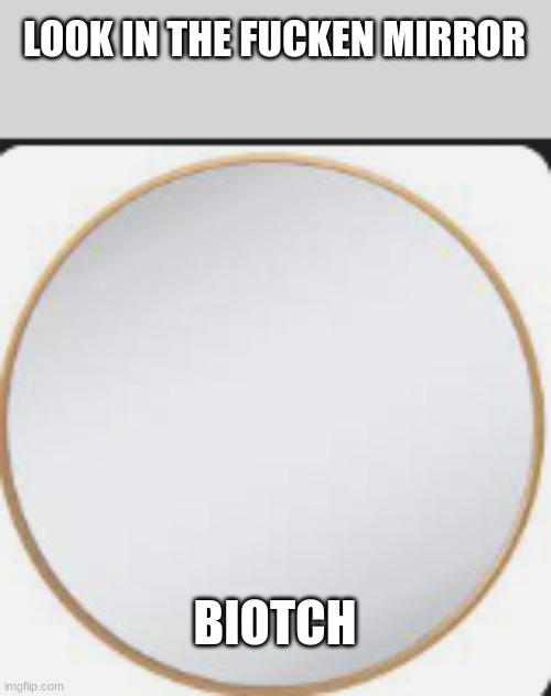 mirror | LOOK IN THE FUCKEN MIRROR BIOTCH | image tagged in mirror | made w/ Imgflip meme maker