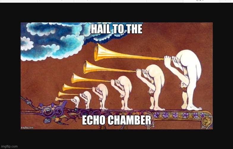 Hail to the leftest echo chamber | image tagged in hail to the leftest echo chamber | made w/ Imgflip meme maker
