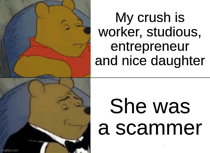 scammer | My crush is worker, studious, entrepreneur and nice daughter; She was a scammer | image tagged in memes,tuxedo winnie the pooh | made w/ Imgflip meme maker