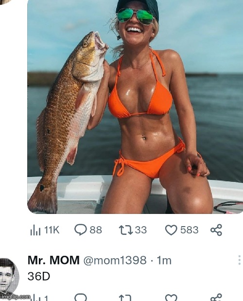 image tagged in funny memes | made w/ Imgflip meme maker