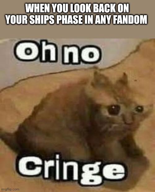 Don't get me started on mine | WHEN YOU LOOK BACK ON YOUR SHIPS PHASE IN ANY FANDOM | image tagged in oh no cringe | made w/ Imgflip meme maker