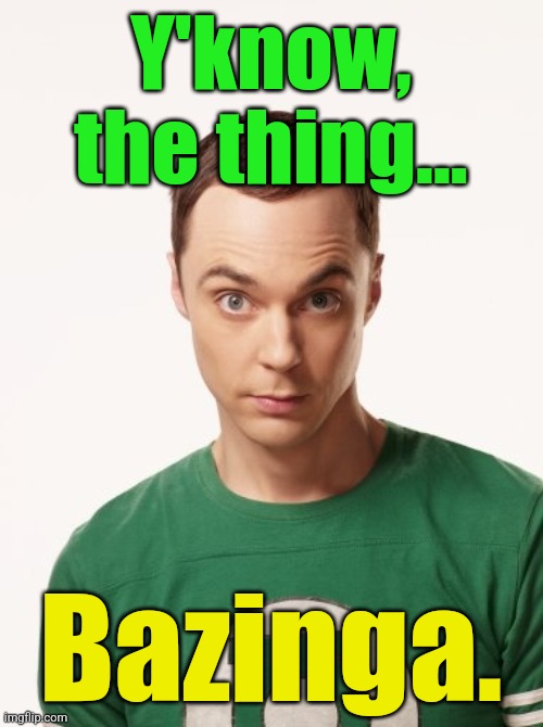Sheldon Cooper | Y'know, the thing... Bazinga. | image tagged in sheldon cooper | made w/ Imgflip meme maker