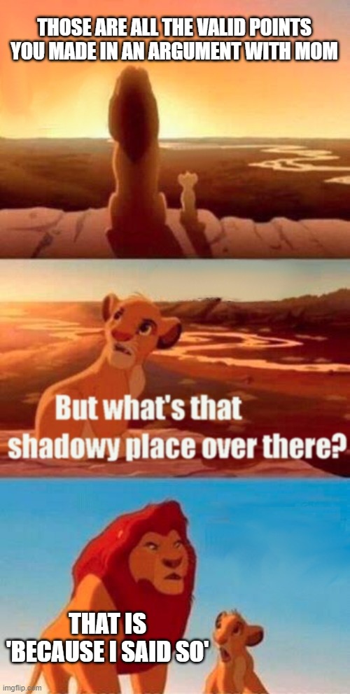 Simba Shadowy Place |  THOSE ARE ALL THE VALID POINTS YOU MADE IN AN ARGUMENT WITH MOM; THAT IS 'BECAUSE I SAID SO' | image tagged in memes,simba shadowy place,mom,mother,mum,arguments | made w/ Imgflip meme maker