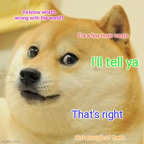 Doge | Ya know what's wrong with the world? For a few more treats; I'll tell ya; That's right; Not enough of them | image tagged in memes,doge | made w/ Imgflip meme maker