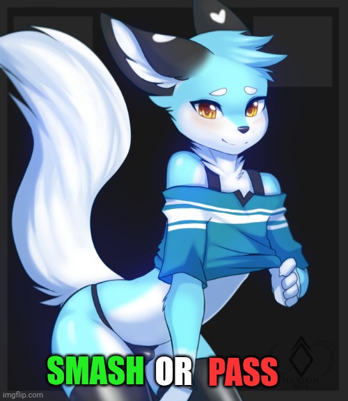 Femboy furry | OR; PASS; SMASH | image tagged in femboy furry | made w/ Imgflip meme maker