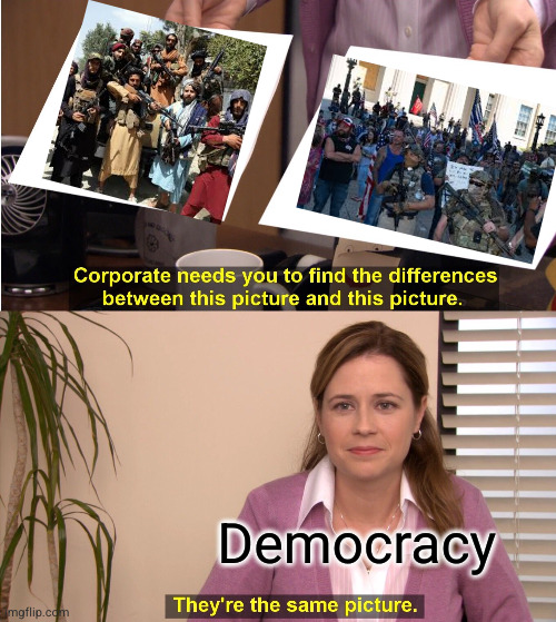 Funny how freedom lovers love taking away freedoms | Democracy | image tagged in memes,they're the same picture | made w/ Imgflip meme maker
