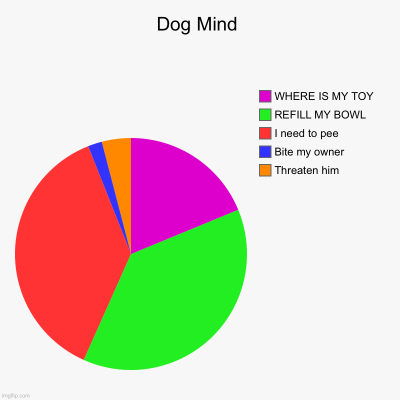 My dogs mind | Dog Mind | Threaten him, Bite my owner, I need to pee, REFILL MY BOWL, WHERE IS MY TOY | image tagged in charts,pie charts,mind,dog,dogstream | made w/ Imgflip chart maker
