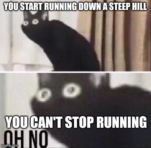 Relatable | YOU START RUNNING DOWN A STEEP HILL; YOU CAN'T STOP RUNNING | image tagged in oh no cat | made w/ Imgflip meme maker
