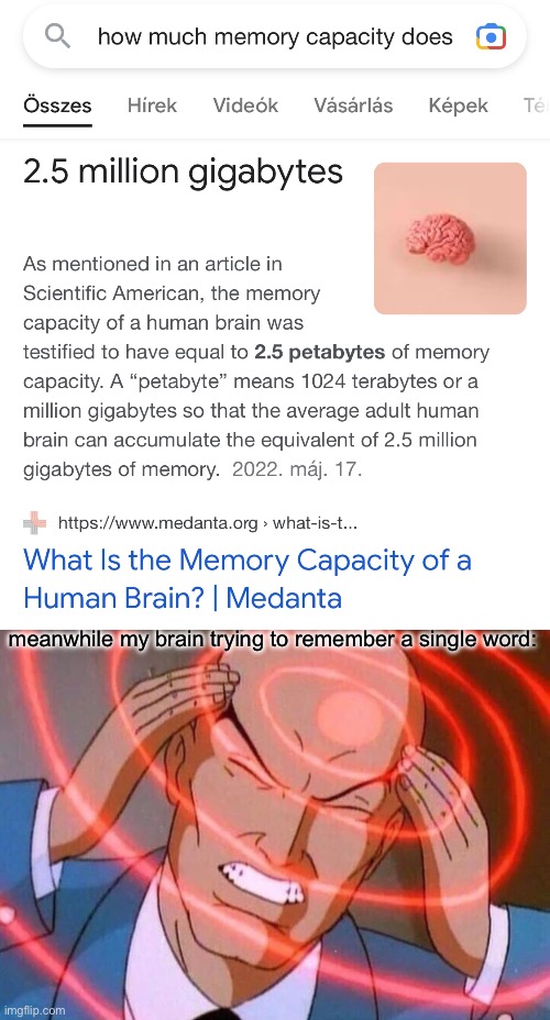 i'm gonna have to shove a 4TB hard disk in it, aren't i | meanwhile my brain trying to remember a single word: | image tagged in trying to remember,brain,memory | made w/ Imgflip meme maker