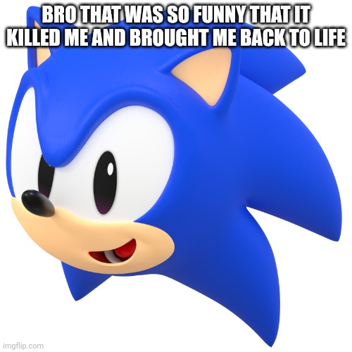 Sonic Head | BRO THAT WAS SO FUNNY THAT IT KILLED ME AND BROUGHT ME BACK TO LIFE | image tagged in sonic head | made w/ Imgflip meme maker