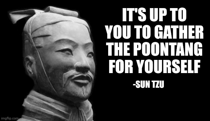 Wise words | IT'S UP TO YOU TO GATHER THE POONTANG FOR YOURSELF; -SUN TZU | image tagged in sun tzu | made w/ Imgflip meme maker