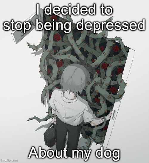 Avogado6 | I decided to stop being depressed; About my dog | image tagged in avogado6 | made w/ Imgflip meme maker