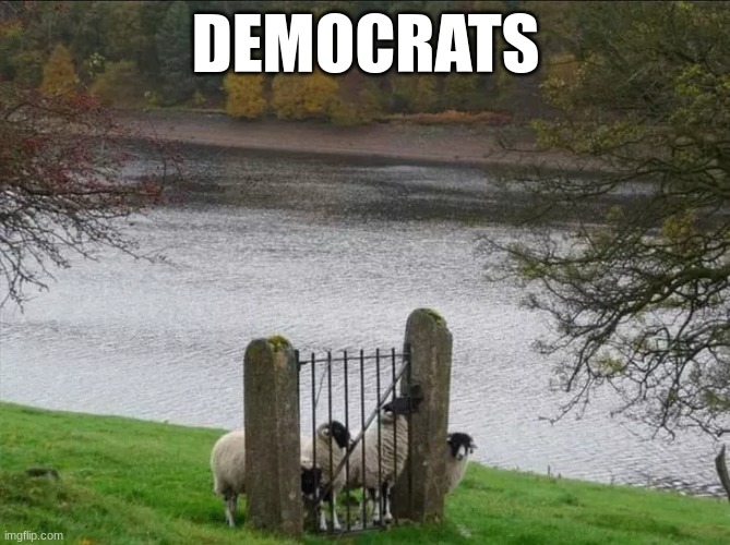 Democrats | DEMOCRATS | image tagged in democrats | made w/ Imgflip meme maker