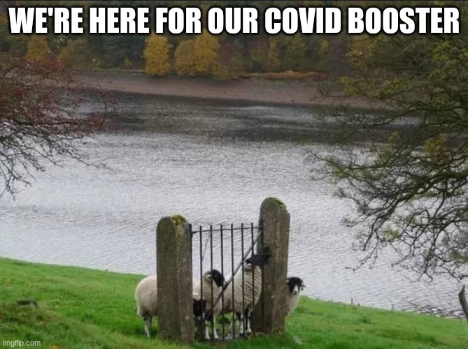 WE'RE HERE FOR OUR COVID BOOSTER | made w/ Imgflip meme maker