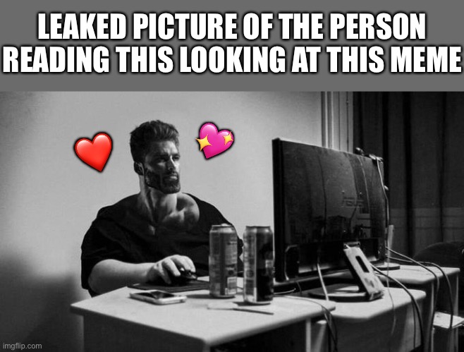 Shhhh.... | LEAKED PICTURE OF THE PERSON READING THIS LOOKING AT THIS MEME; 💖; ❤️ | image tagged in gigachad on the computer,wholesome | made w/ Imgflip meme maker