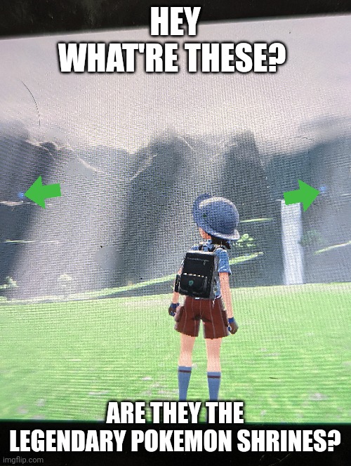 I seriously can't tell | HEY WHAT'RE THESE? ARE THEY THE LEGENDARY POKEMON SHRINES? | image tagged in help | made w/ Imgflip meme maker
