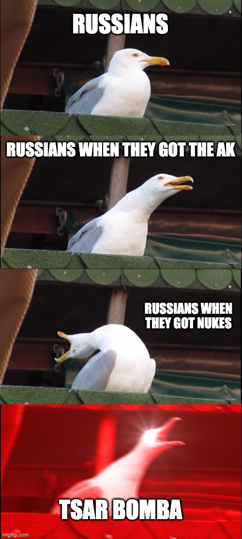 goose | RUSSIANS; RUSSIANS WHEN THEY GOT THE AK; RUSSIANS WHEN THEY GOT NUKES; TSAR BOMBA | image tagged in memes,inhaling seagull | made w/ Imgflip meme maker