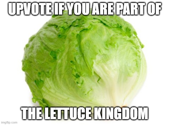 Lettuce | UPVOTE IF YOU ARE PART OF; THE LETTUCE KINGDOM | image tagged in lettuce | made w/ Imgflip meme maker