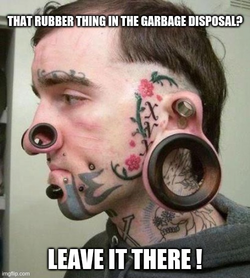 head holes | THAT RUBBER THING IN THE GARBAGE DISPOSAL? LEAVE IT THERE ! | image tagged in advice | made w/ Imgflip meme maker