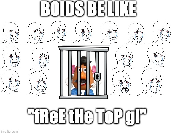 Boids will be boids... | BOIDS BE LIKE; "fReE tHe ToP g!" | image tagged in funny memes | made w/ Imgflip meme maker