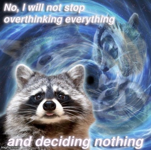 High Quality Raccoon Blank Meme Template