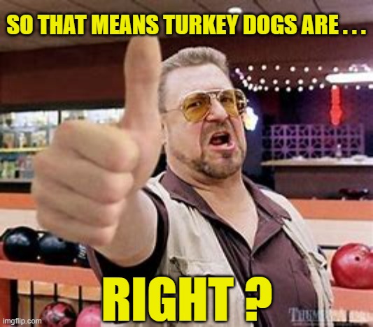 SO THAT MEANS TURKEY DOGS ARE . . . RIGHT ? | made w/ Imgflip meme maker